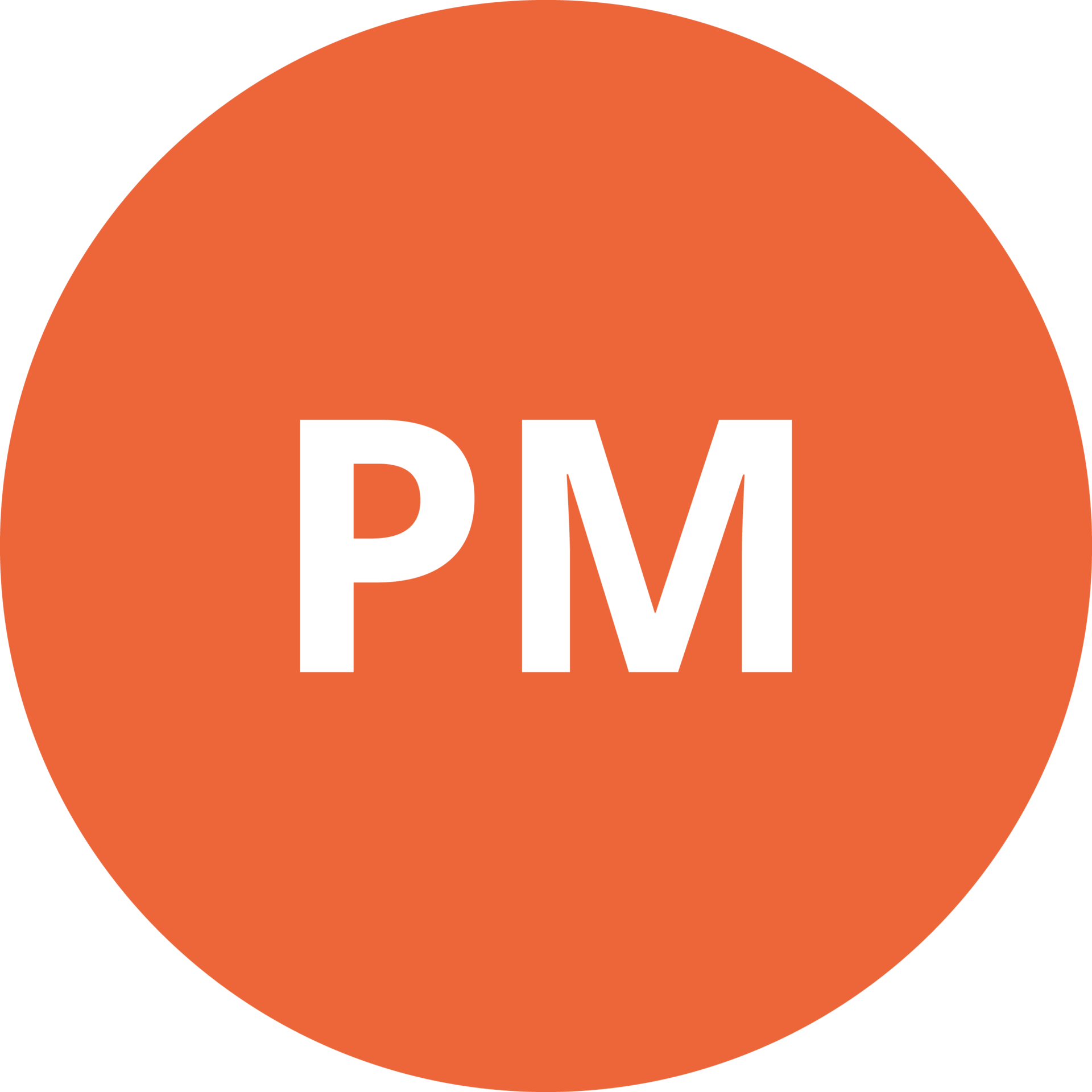 Icon PM